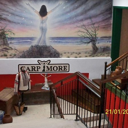 Hotel Carpymore บีโอกราดนาโมรู ภายนอก รูปภาพ